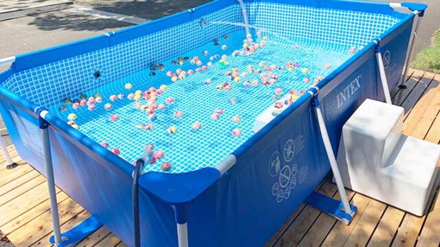 行ってよかった 静岡へ子連れで家族旅行するなら宿泊はここ 泊まって良かった 厳選おすすめホテル5選 マジカマジカル 行ってよかった 静岡へ子連れで家族旅行するなら宿泊はここ 泊まって良かった 厳選おすすめホテル5選 マジカマジカル