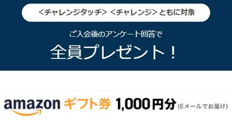 進研ゼミ小学講座の入会特典